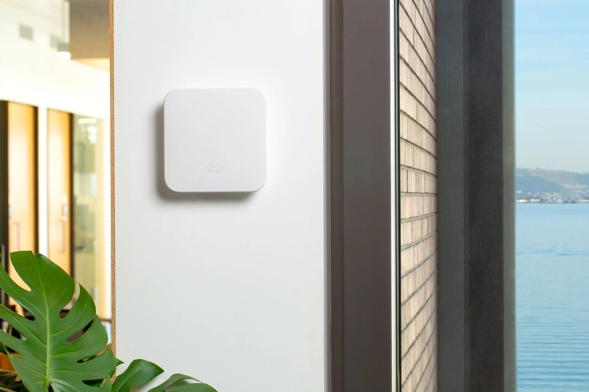 IT-Infrastruktur &  Netzwerktechnik 