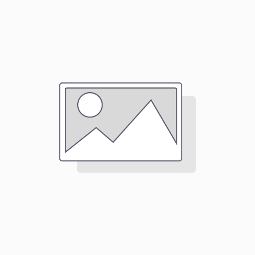 DPD Webshop Versand Standard
